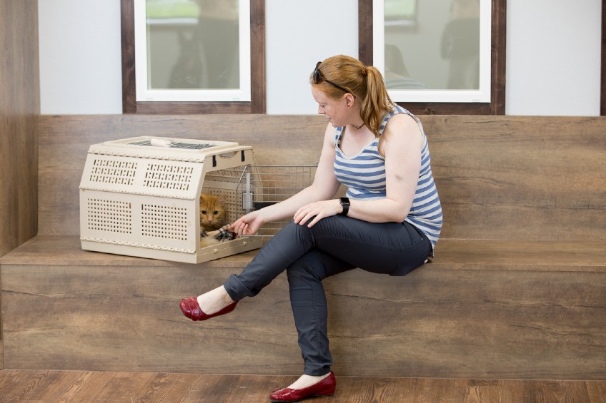woman waiting with cat in vet lobby